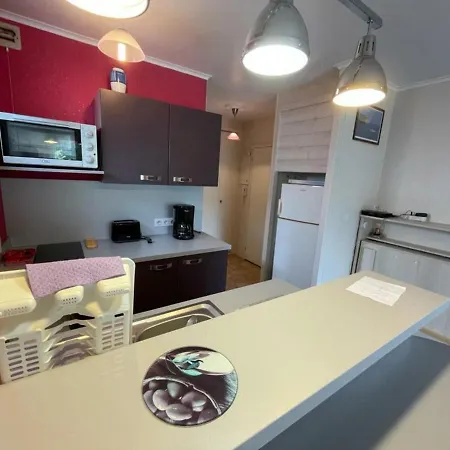 Apartment Calme A 2 Pas De La Avec Balcon Et Garage - Fr-1-550-17