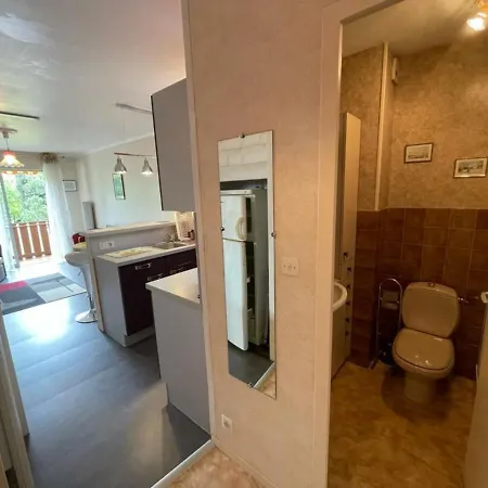 Apartment Calme A 2 Pas De La Avec Balcon Et Garage - Fr-1-550-17 *